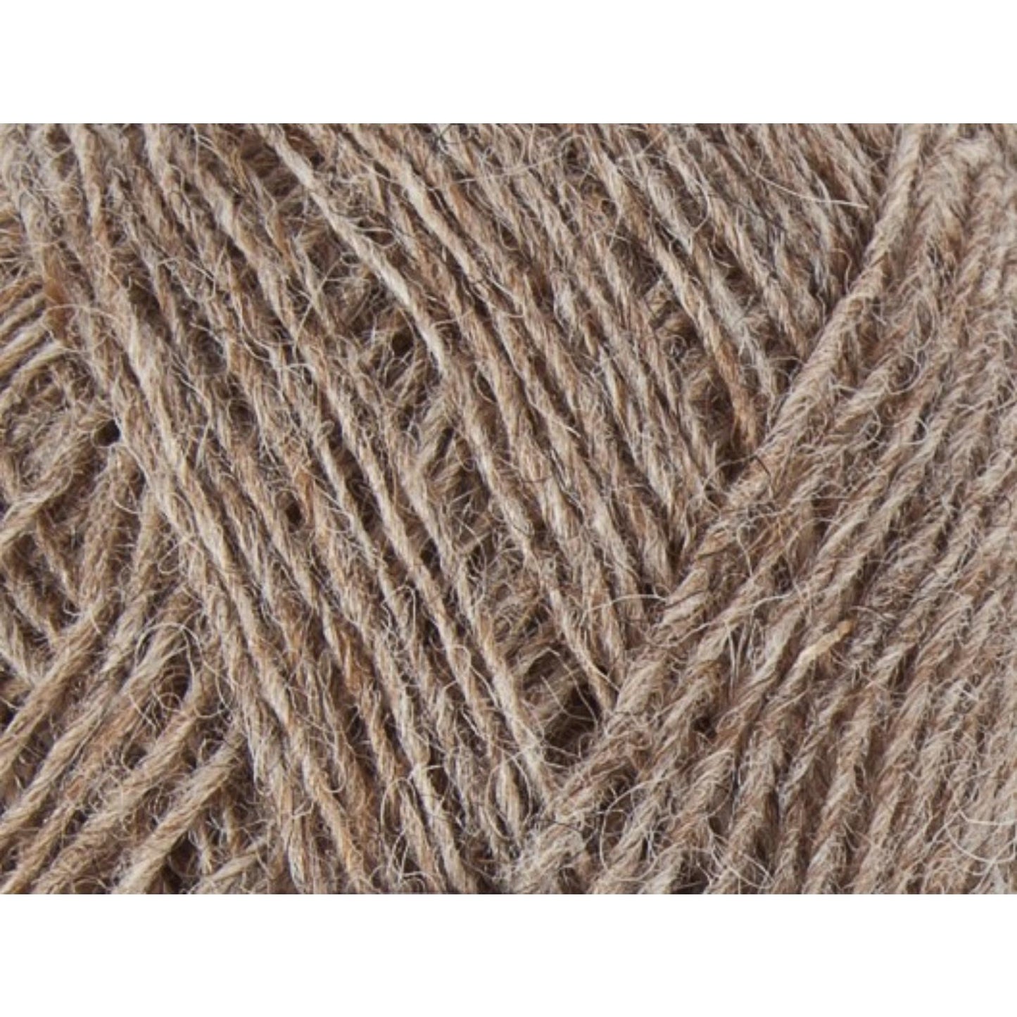 Lopi Einband 50g