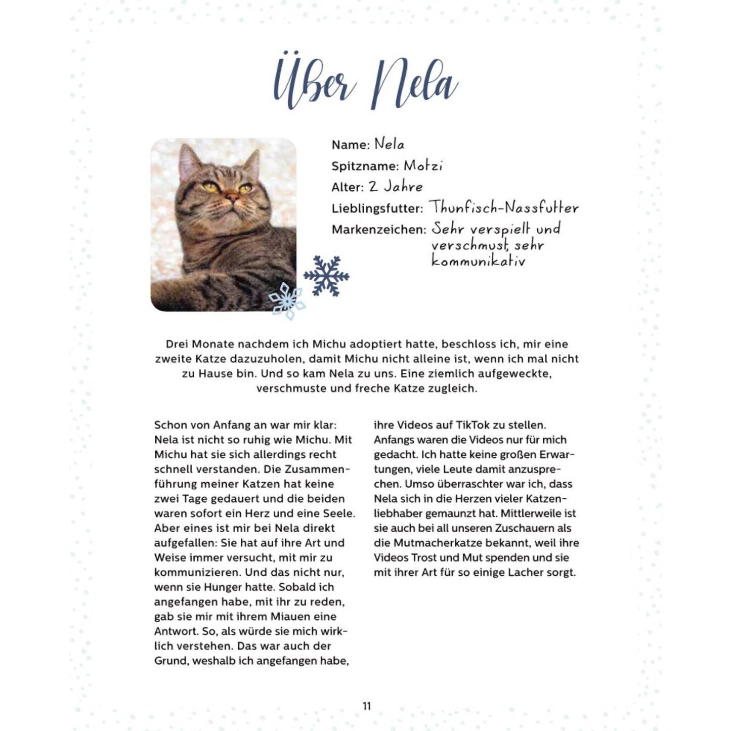 Mein Adventskalender-Buch: Fröhliche Miaunachten