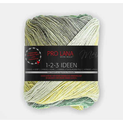 Pro Lana 1-2-3 Ideen 100 g