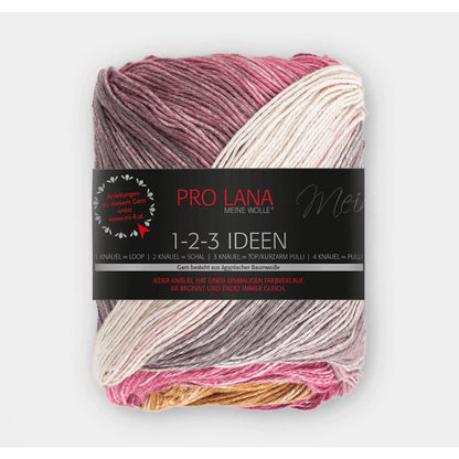 Pro Lana 1-2-3 Ideen 100 g