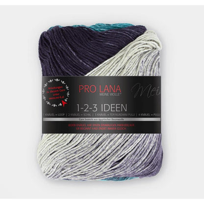 Pro Lana 1-2-3 Ideen 100 g