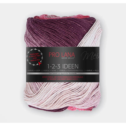 Pro Lana 1-2-3 Ideen 100 g