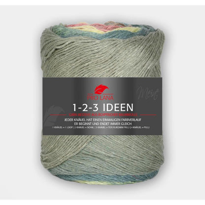 Pro Lana 1-2-3 Ideen 100 g