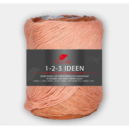 Pro Lana 1-2-3 Ideen 100 g