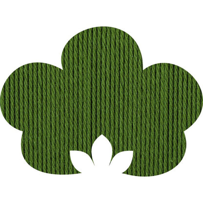 Anchor Organic Cotton 4-fädig 50 g