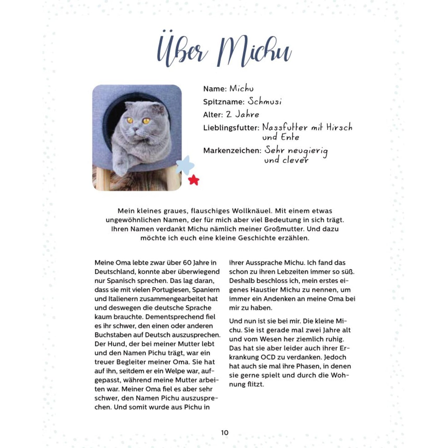 Mein Adventskalender-Buch: Fröhliche Miaunachten