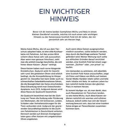 Mein Adventskalender-Buch: Fröhliche Miaunachten