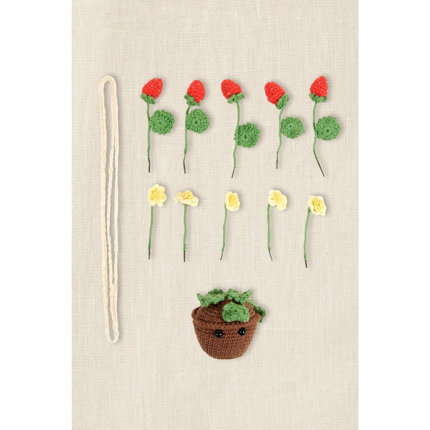 DMC Häkelpackung, Erdbeeren von Nuria Picos Amigurumi-Set