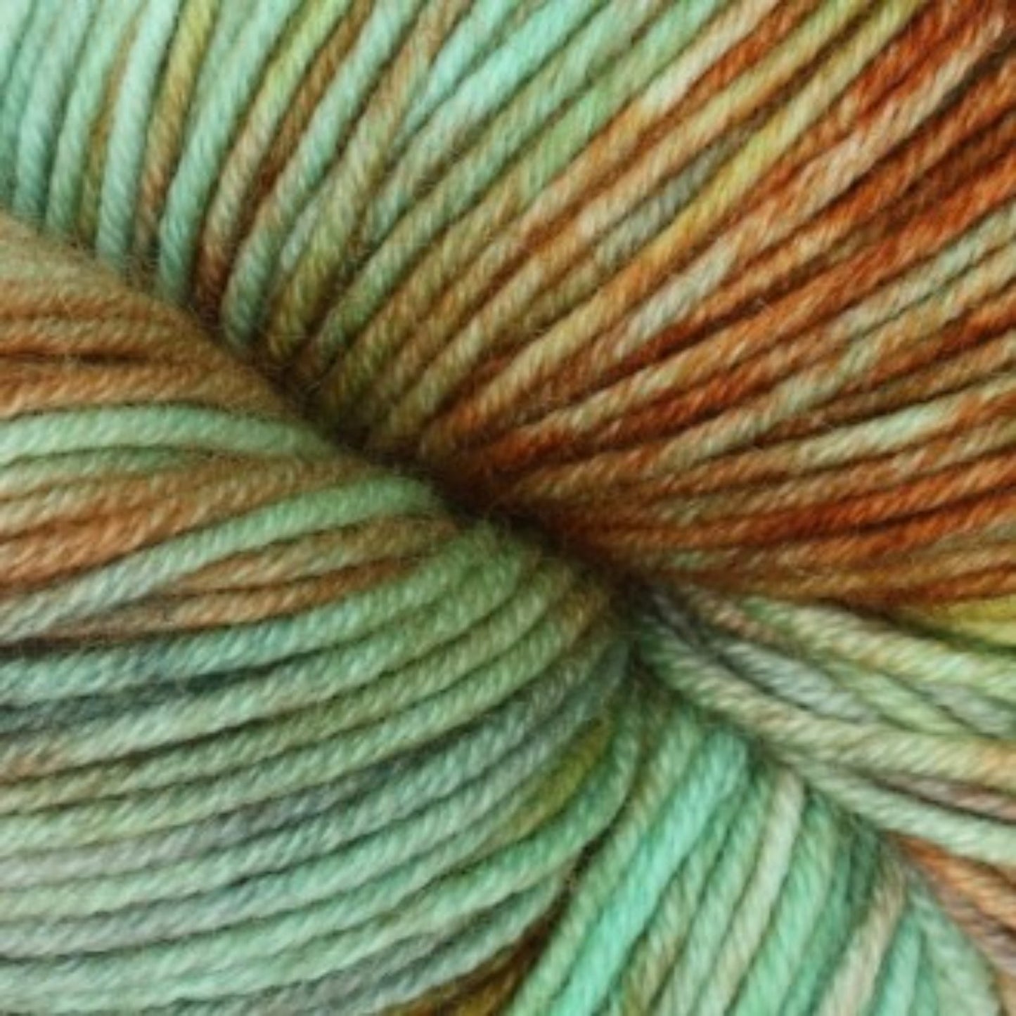 Symfonie Yarns Viva Color  100g