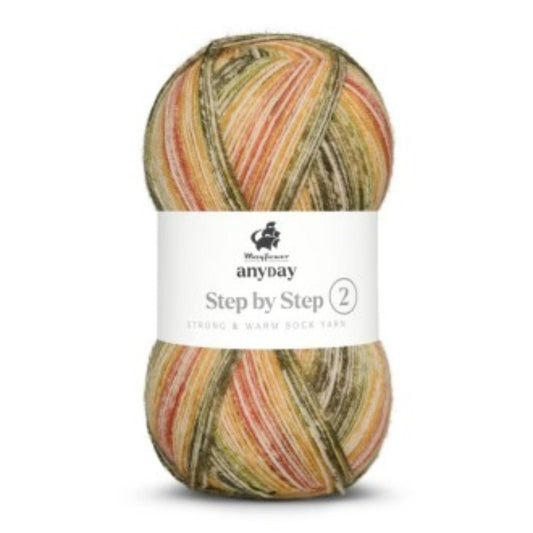 Mayflower Anyday Step by Step 2, 100g