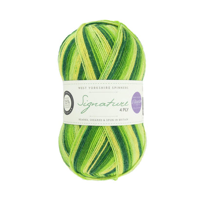 West Yorkshire Spinners Signature 4ply - Winwick Mum 100g