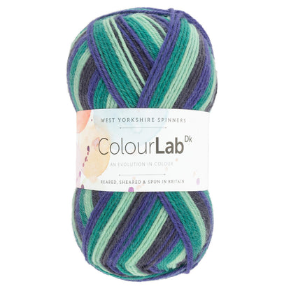 West Yorkshire Spinners ColourLab DK 100g