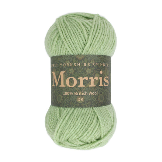 West Yorkshire Spinners Morris DK 50g