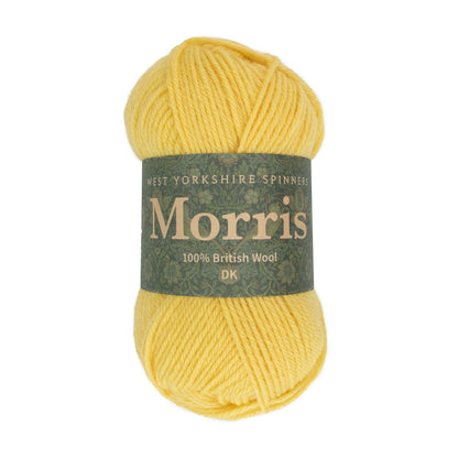 West Yorkshire Spinners Morris DK 50g