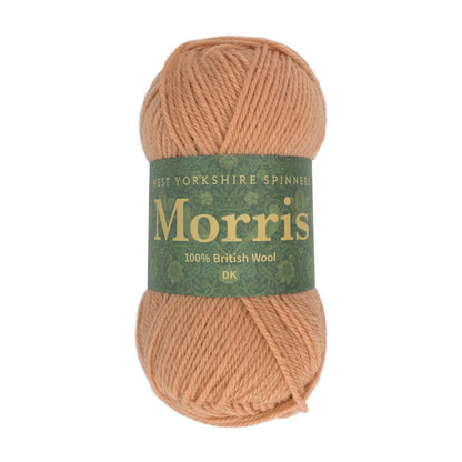 West Yorkshire Spinners Morris DK 50g