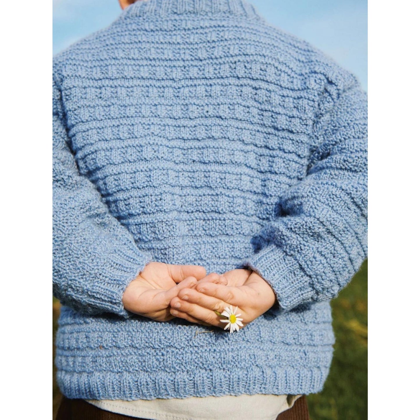 Anleitung (de, en) von © Sandnes - Roar Pullover, 2301-05