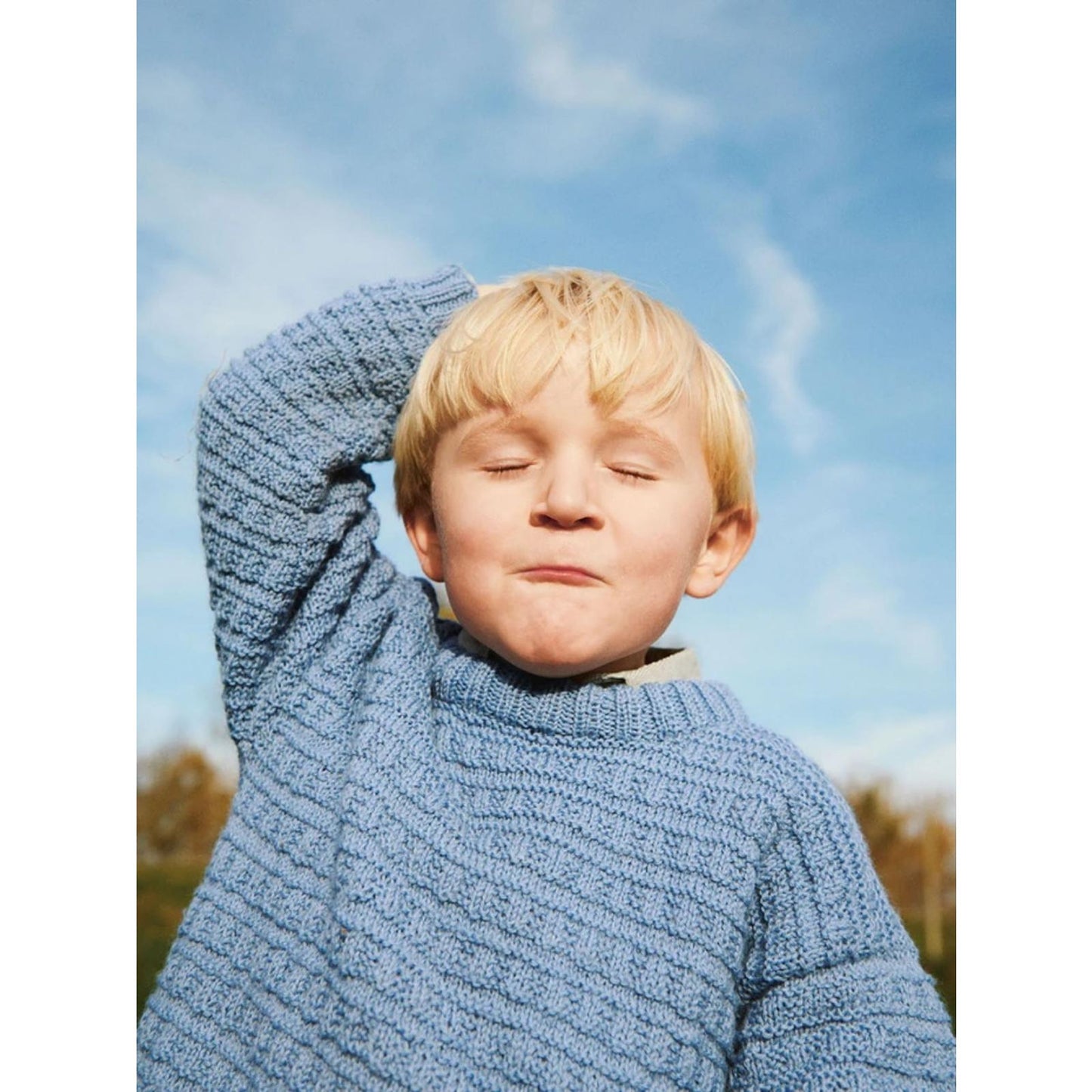 Anleitung (de, en) von © Sandnes - Roar Pullover, 2301-05