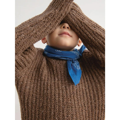 Anleitung (de, en) von © Sandnes - Loui Pullover, 2303-01