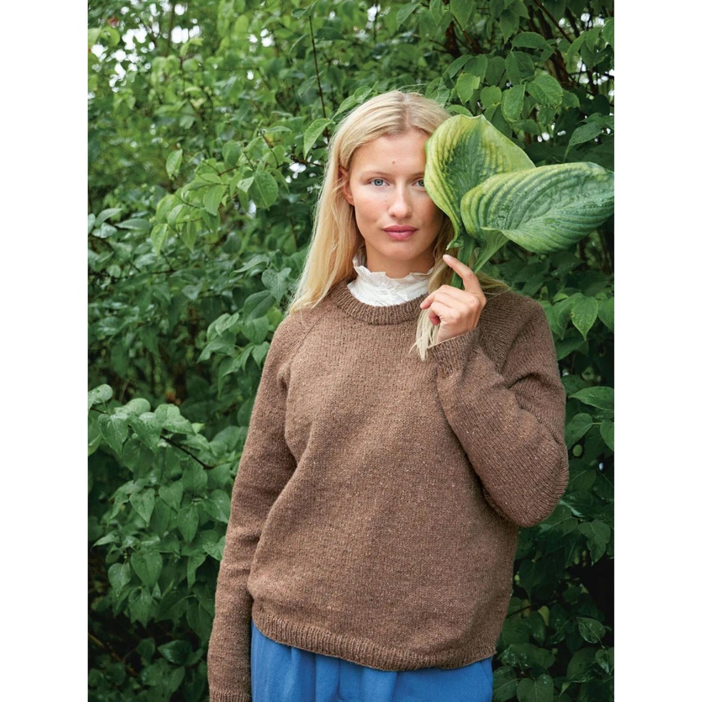 Anleitung (de, en) von © Sandnes - Debutant Sweater 2312-01B