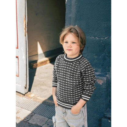 Sandnes Anleitungsheft 2509 Nr. 3 Islender Genser Junior