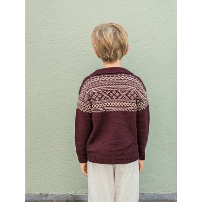 Sandnes Anleitungsheft 2509 Nr. 4 Setesdal Genser Junior