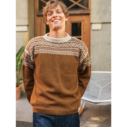 Sandnes Anleitungsheft 2510 Nr. 4 Marius Herregenser