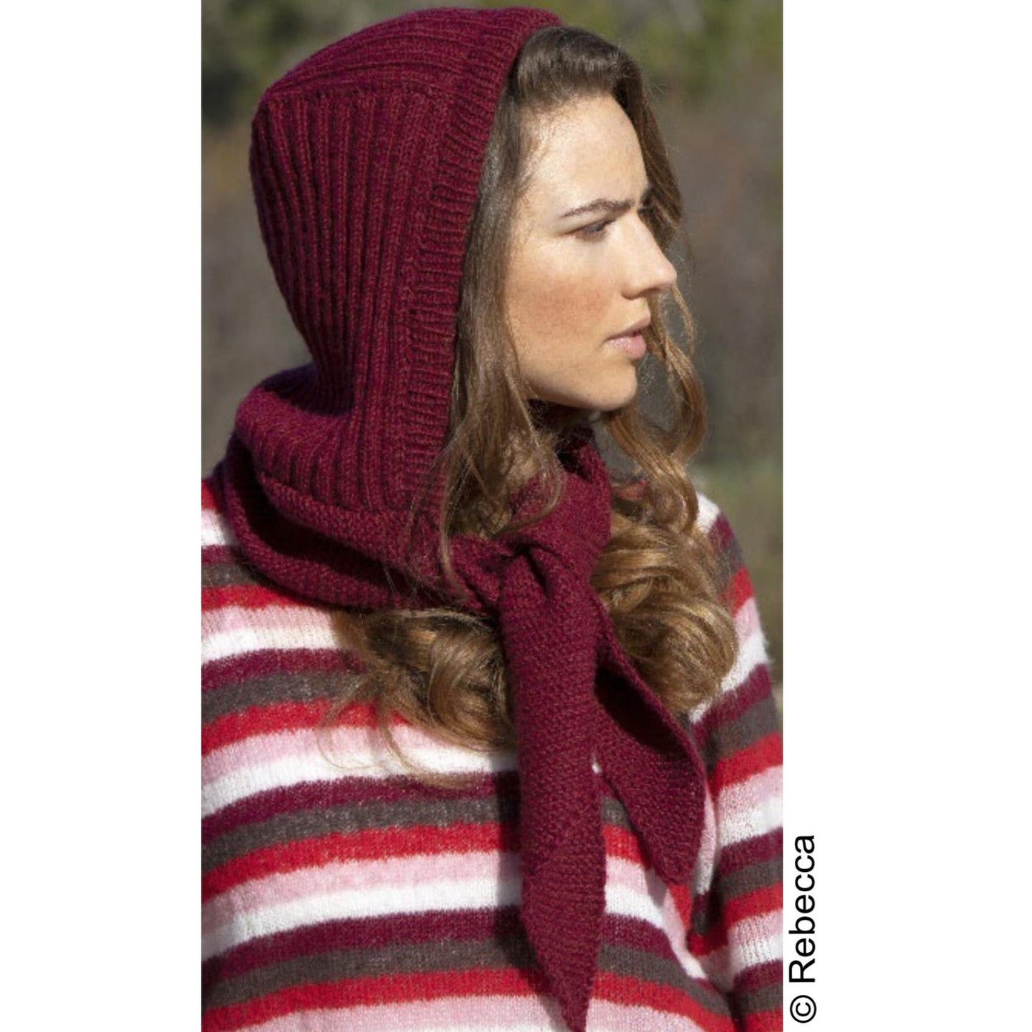 Modell 26041 Scoodie – Originalanleitung von © Austermann by Schoeller