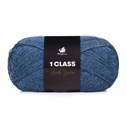 Mayflower 1 Class 50g