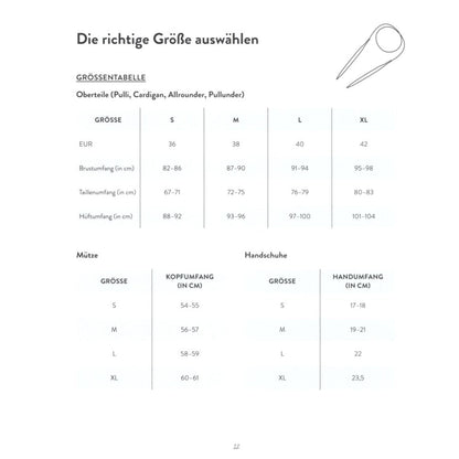 Chunky Knits – das geniale Schnellstrickbuch (DE)
