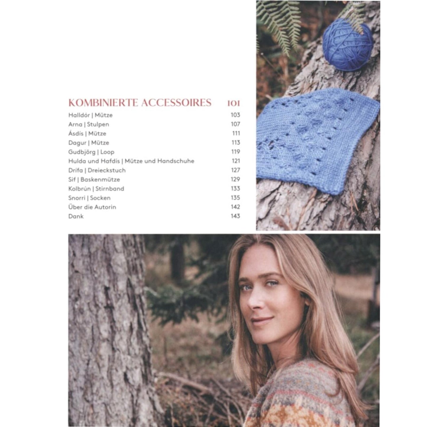 Islandpullover stricken (DE)