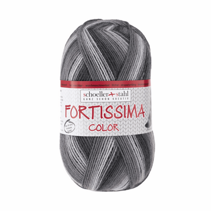 Fortissima socka 4fädig, 90028, Farbe 2434, sapporo