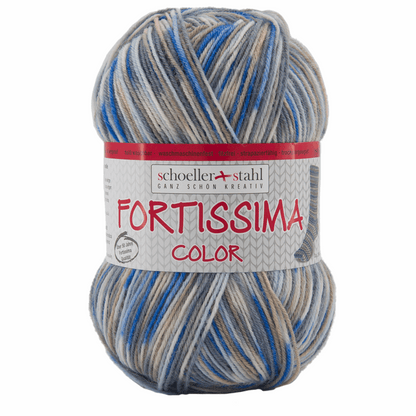 Fortissima socka 4fädig, 90028, Farbe 2439, wolke