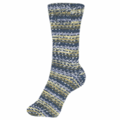 Fortissima socka 4fädig, 90028, Farbe 2491, country