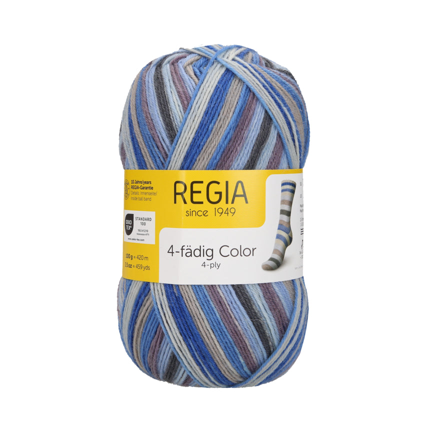 Regia 4fädig color 100g. 90269, Farbe 2737, blue grey