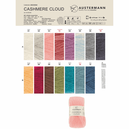 Cashmere Cloud 25g, 90349, Farbe 3, meliertone