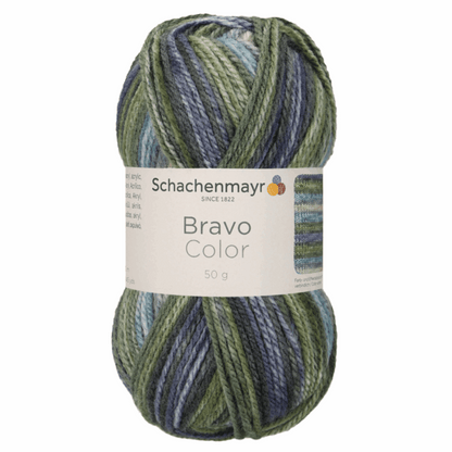 Schachenmayr Bravo50g, 90421, Farbe Moor2122