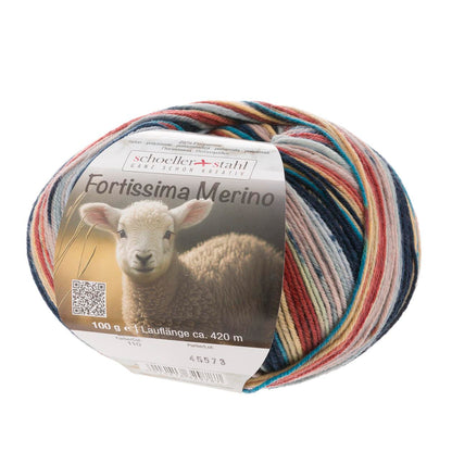 Schoeller + Stahl Fortissima 4fädig, 100g Merino, 93042, Farbe achat 110