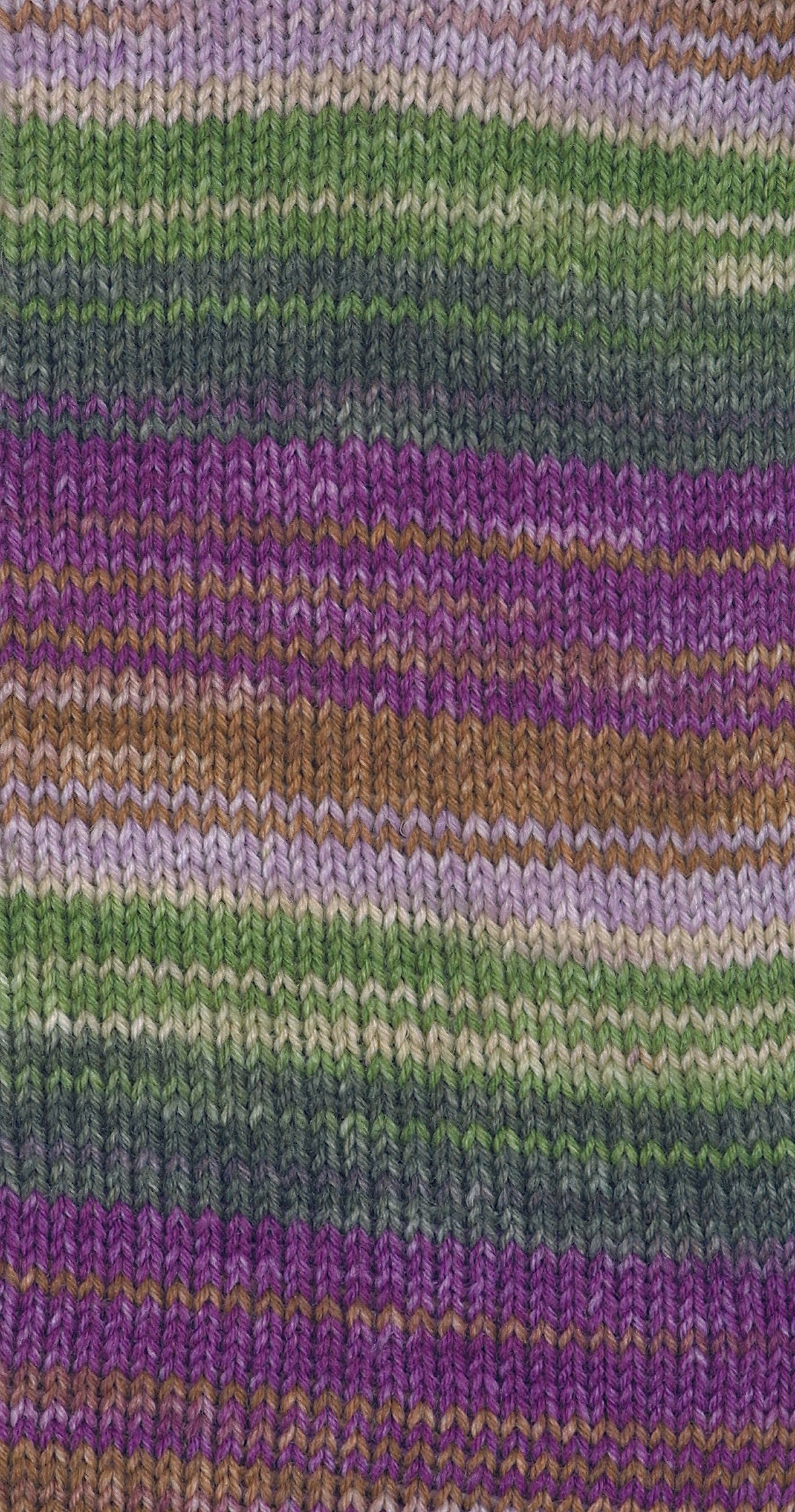 Schoeller-Austermann Step6, Irish Rainbow, 150g, 97826, Farbe kilkeel 630