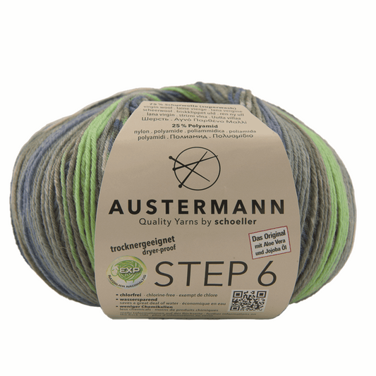 Schoeller-Austermann Step6, Irish Rainbow, 150g, 97826, Farbe bergwiese 716