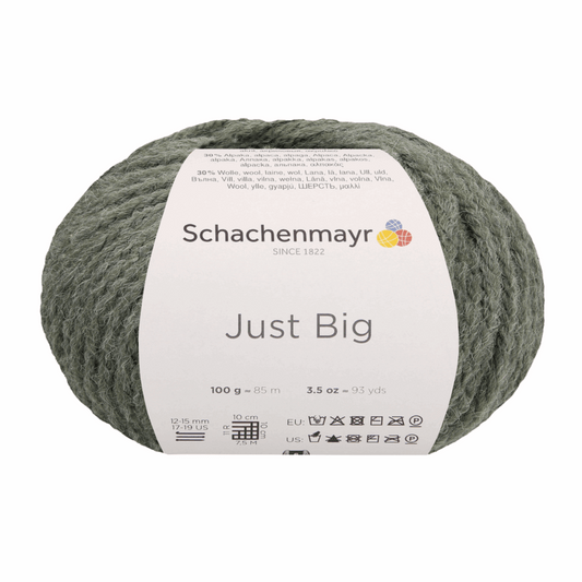 Schachenmayr Just Big 100g, 97009, Farbe salbei meliert 70