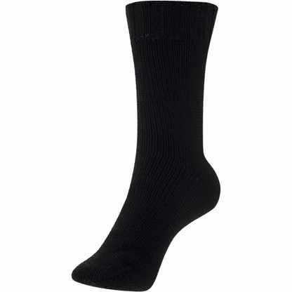 Schoeller + Stahl Fortissima 4-ply, 100g Merino, 93042, color black 2