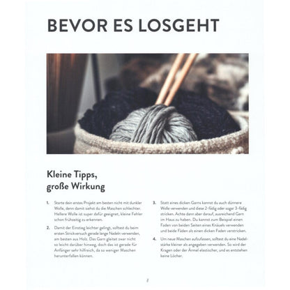 Chunky Knits – das geniale Schnellstrickbuch (DE)