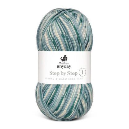 Mayflower Anyday Step by Step 1, 100g