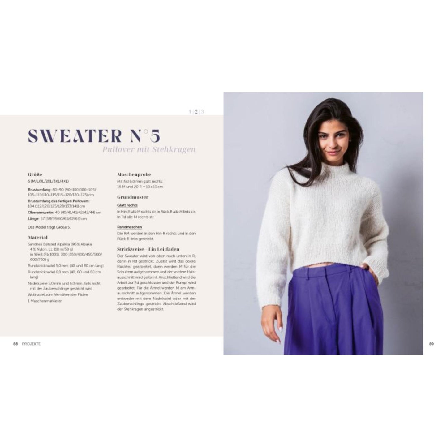 Cosy Sweater stricken