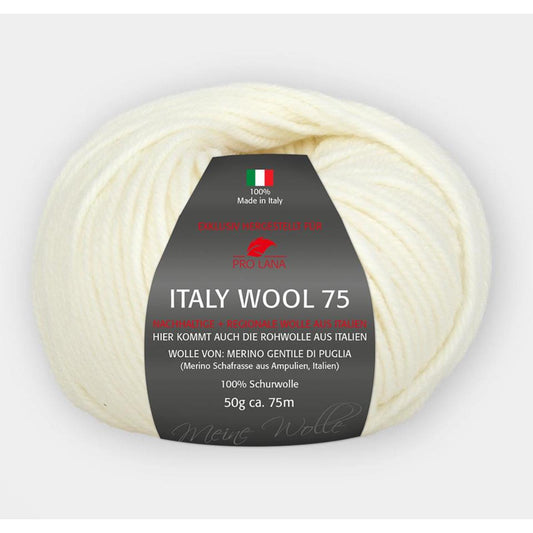 Pro Lana Italy Wool 75 50 g