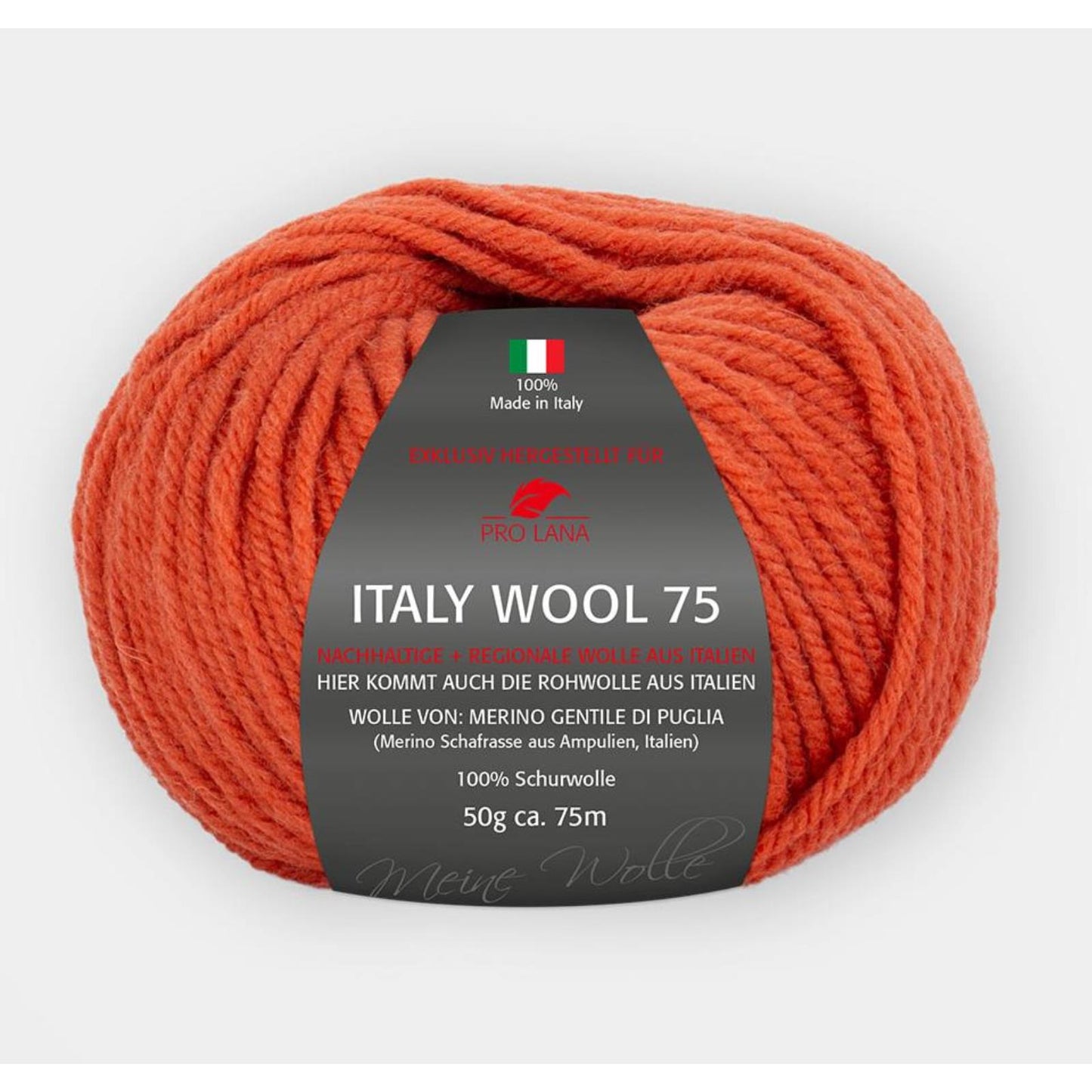 Pro Lana Italy Wool 75 50 g