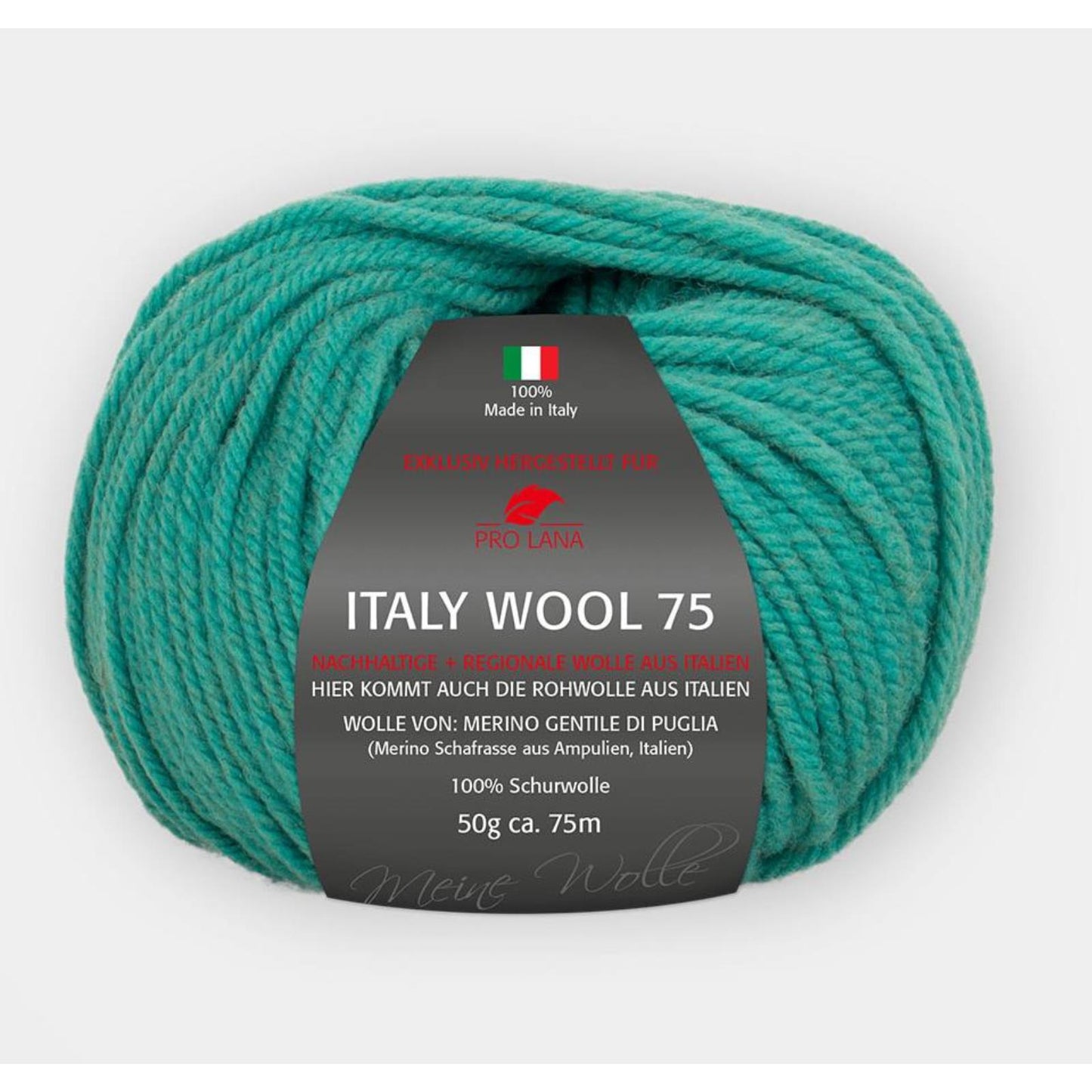 Pro Lana Italy Wool 75 50 g