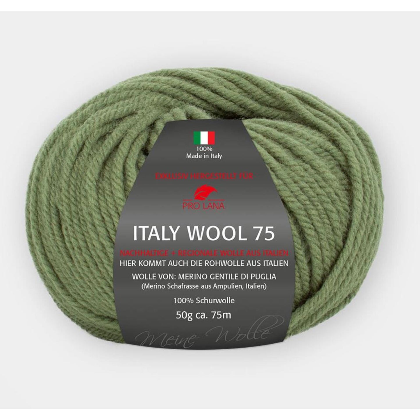 Pro Lana Italy Wool 75 50 g