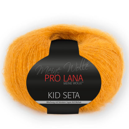 Pro Lana Kid Seta 25 g