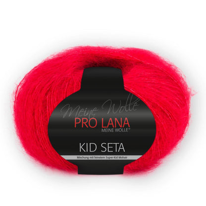 Pro Lana Kid Seta 25 g